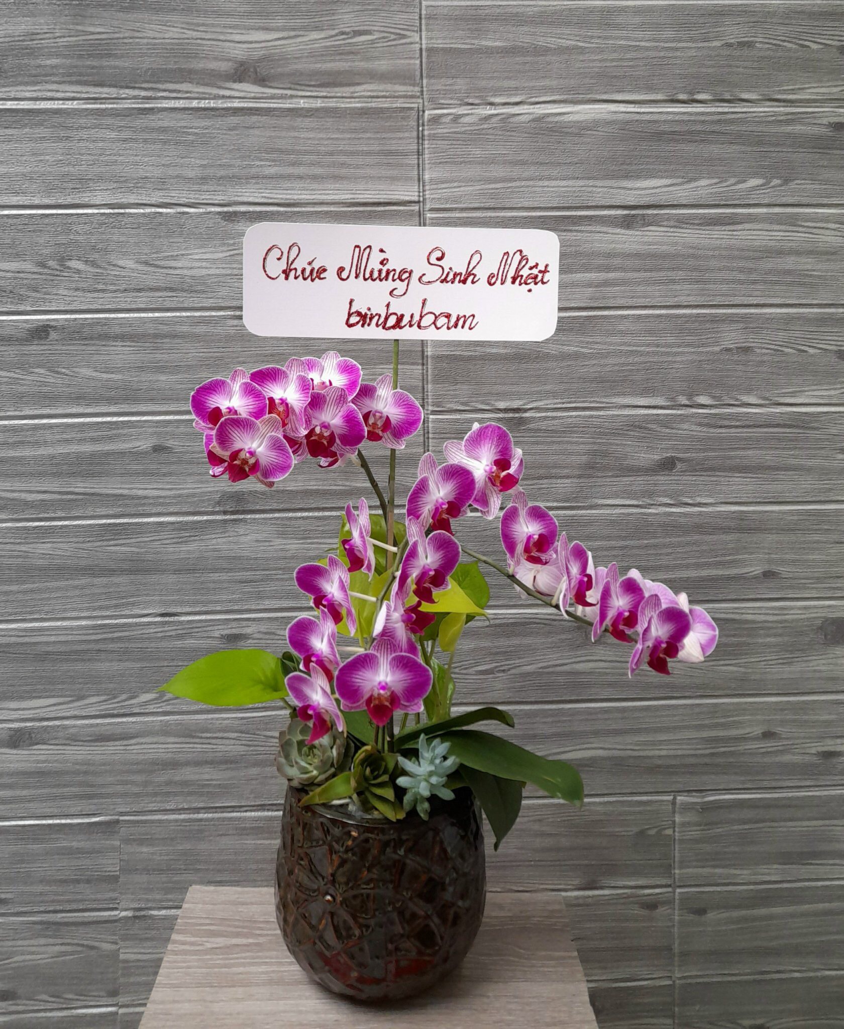 Hoa Lan Để Bàn 00074